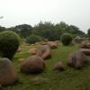 Gardens - Auroville pondicherry